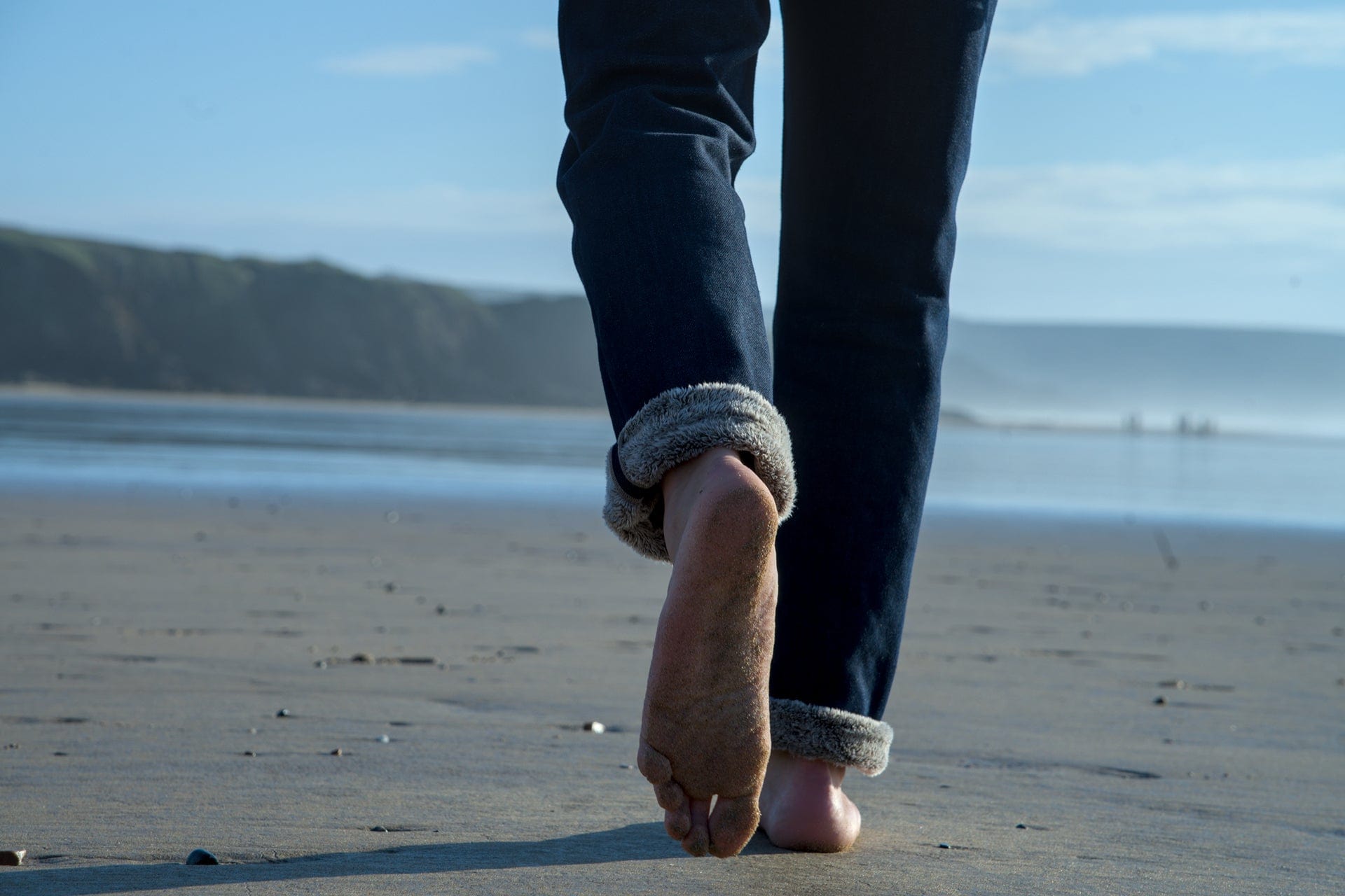 Collection of THE WILD: Polar Brown in a gallery layout