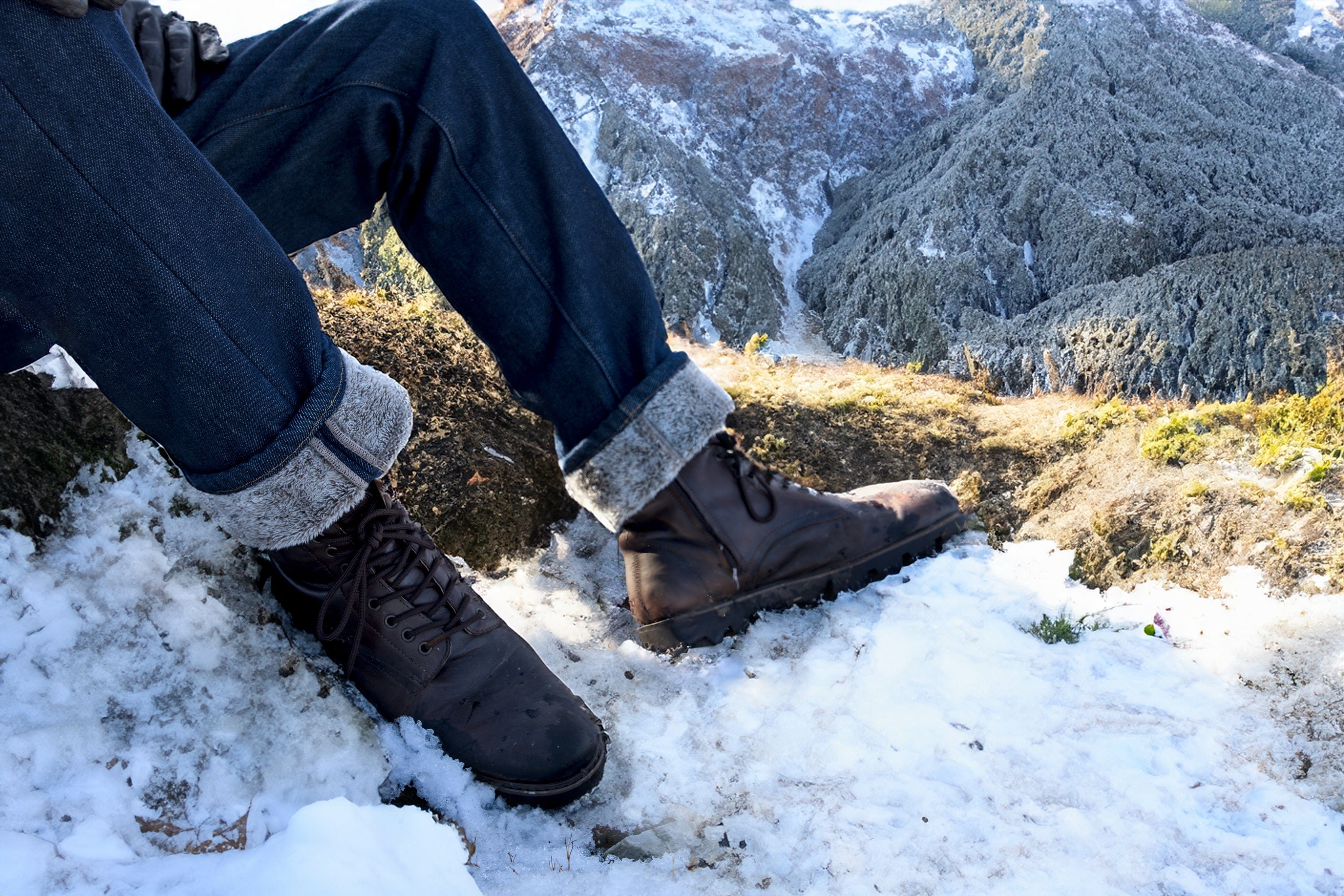 Collection of THE WILD: Polar Brown in a gallery layout